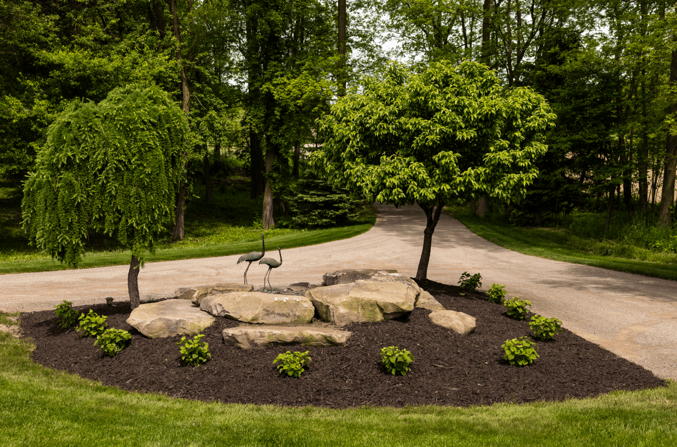 Beautiful garden with trees, stones, and driveway.