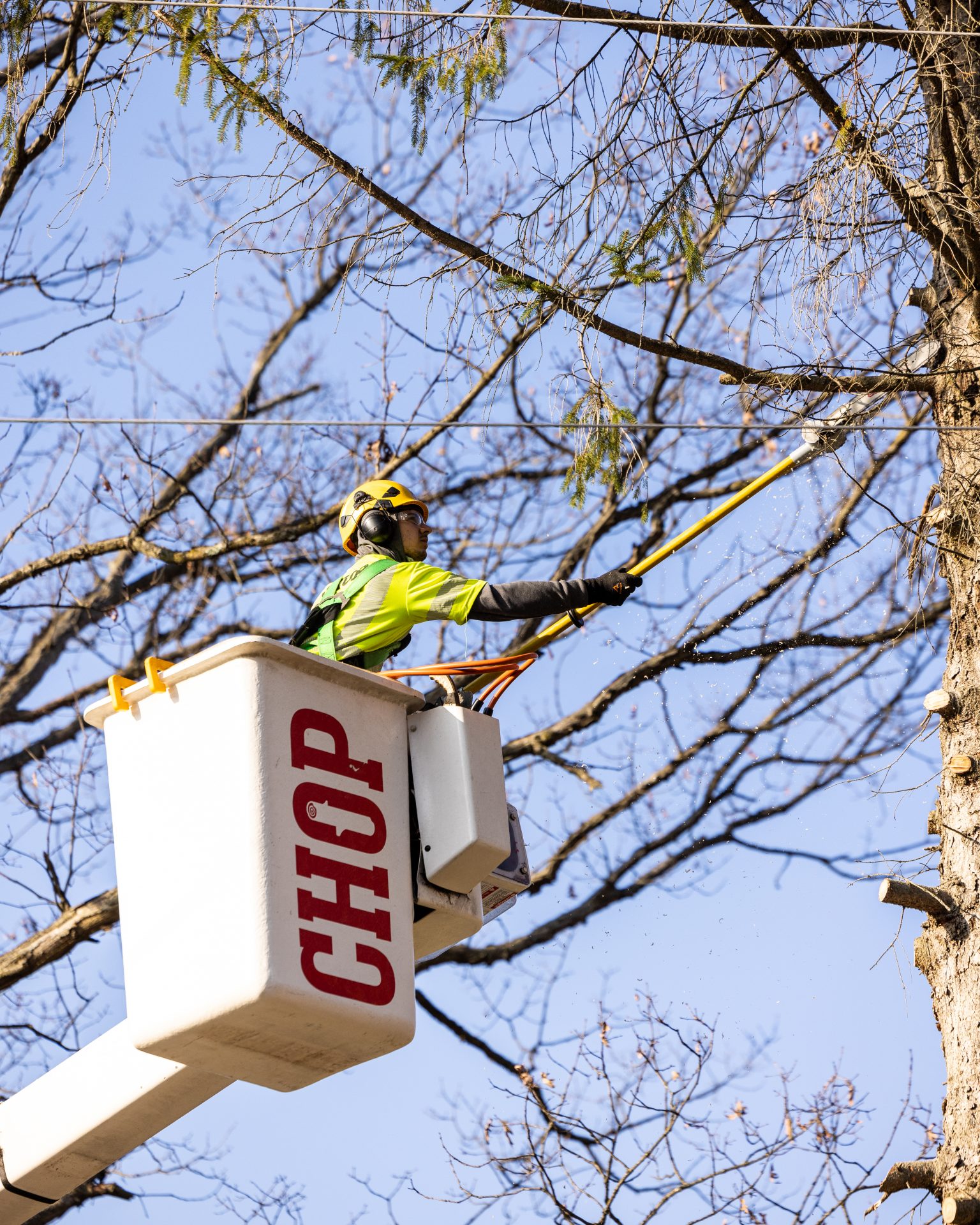 Worker trimming tree branches in bucket lift