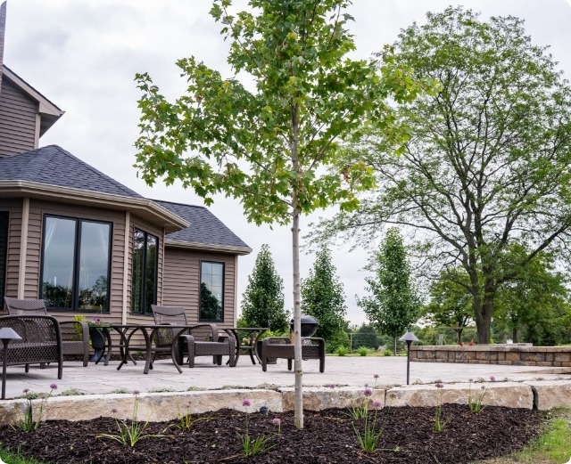 Backyard patio with chairs, tree, and garden view.