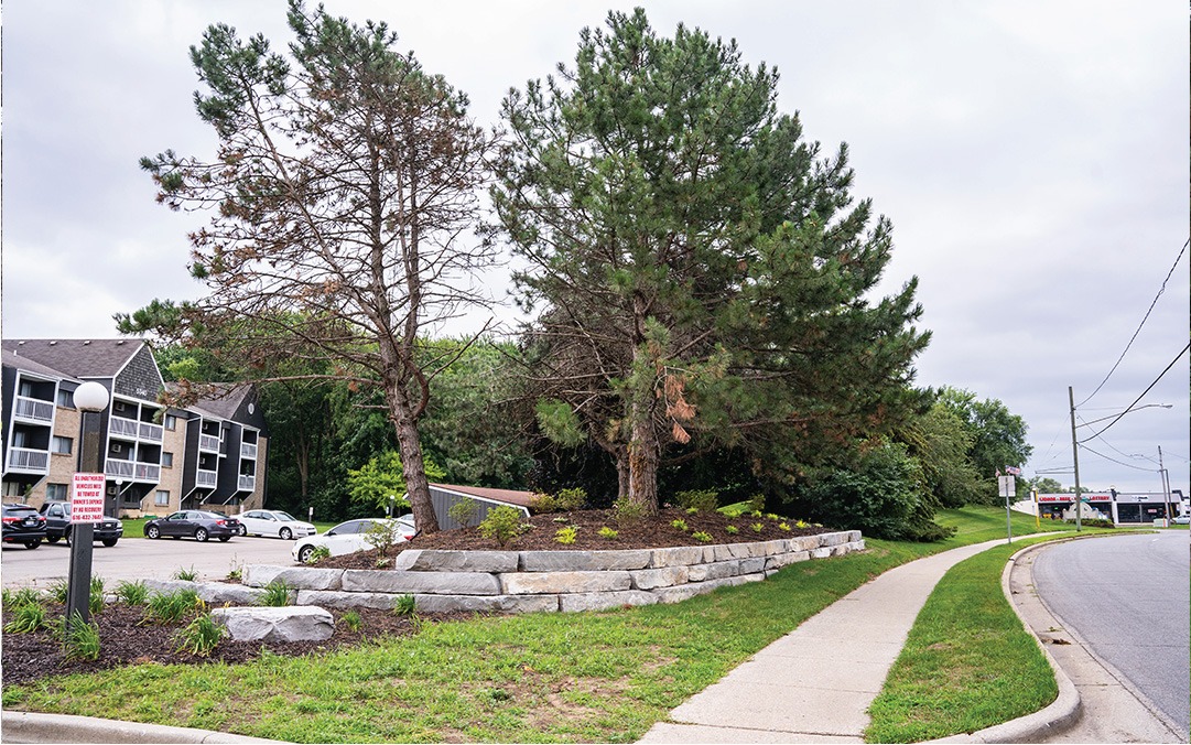 Apartment complex entrance with trees and sidewalk