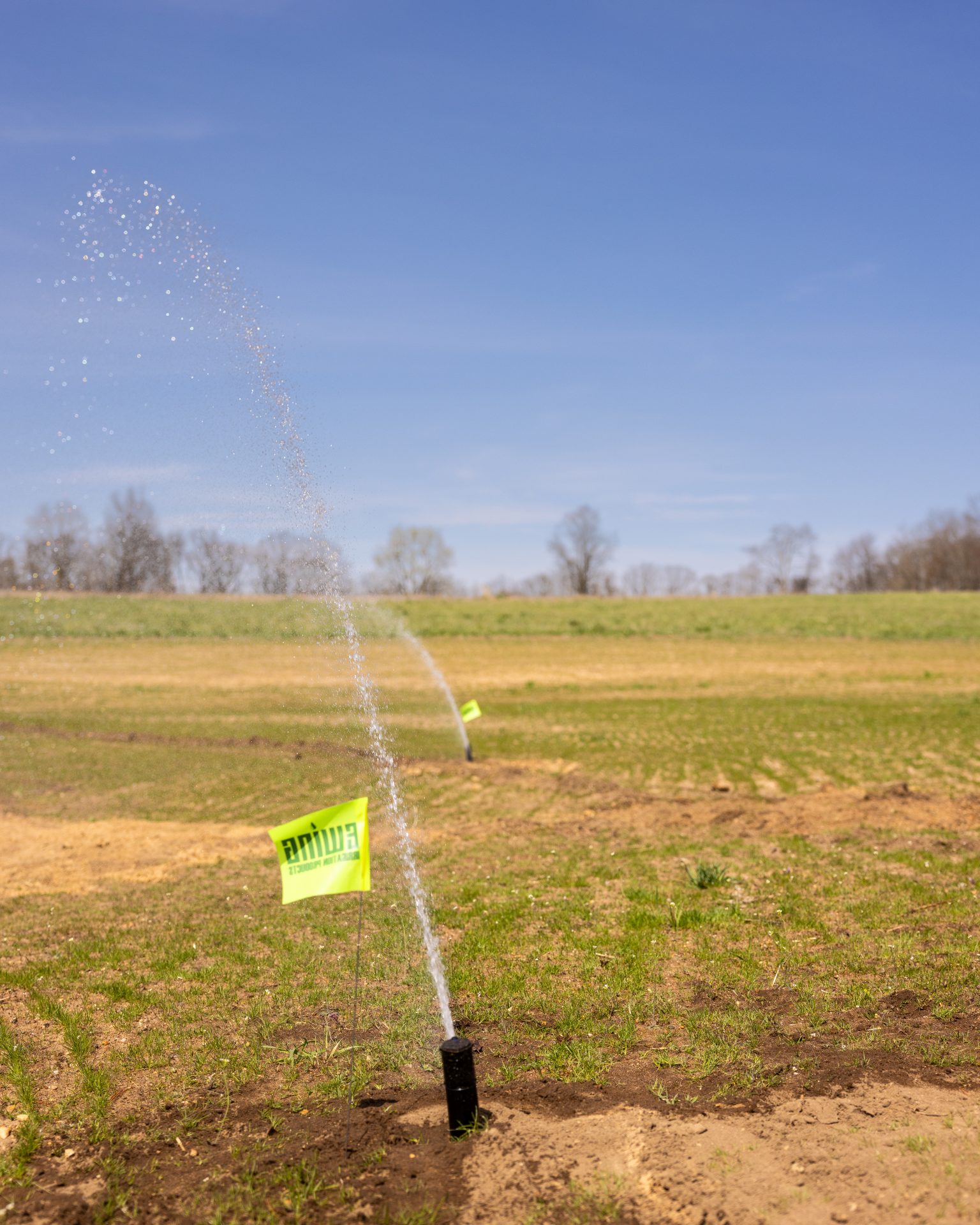 Sprinklers watering a field with green flags
