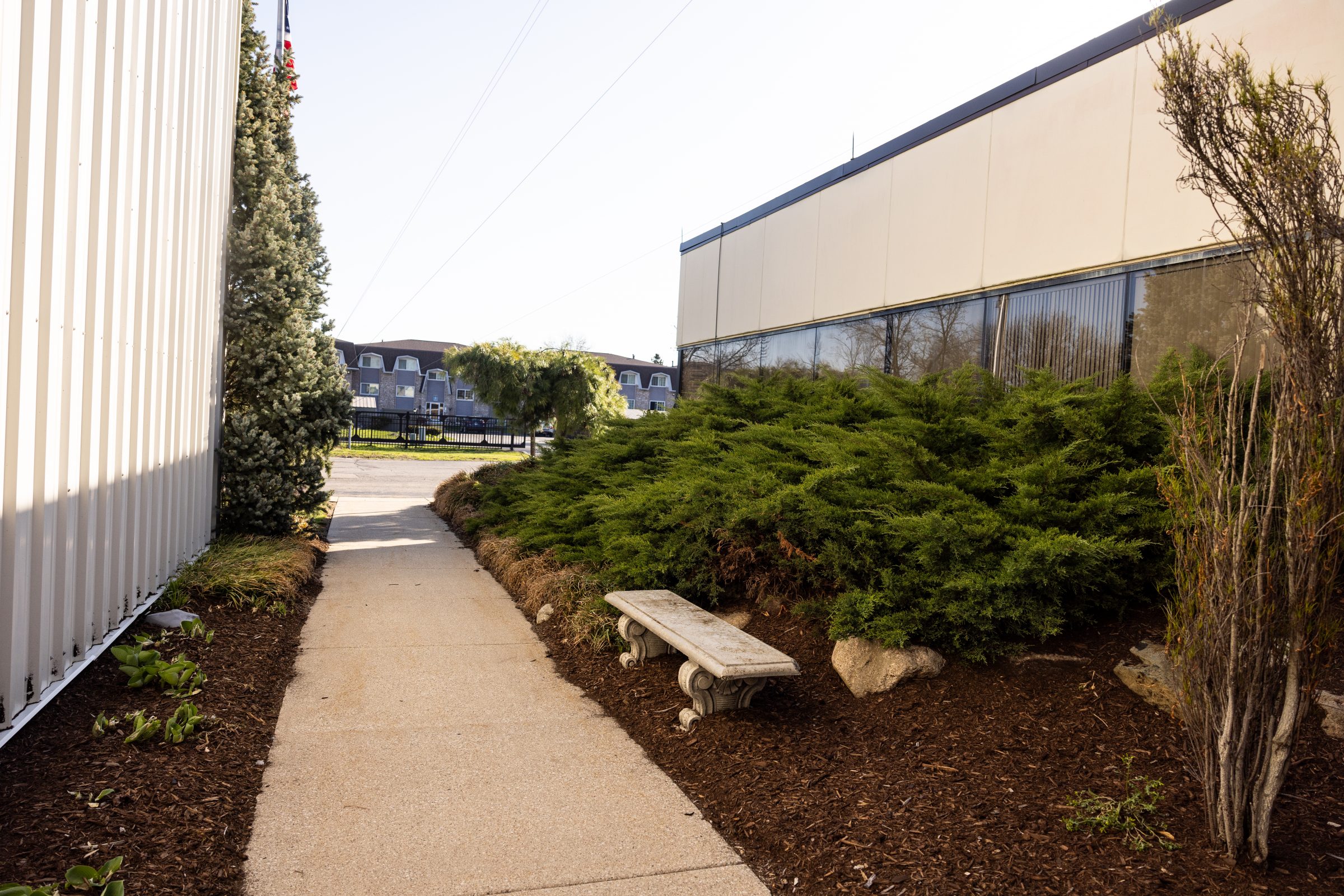 Sidewalk with bench between buildings and greenery.
