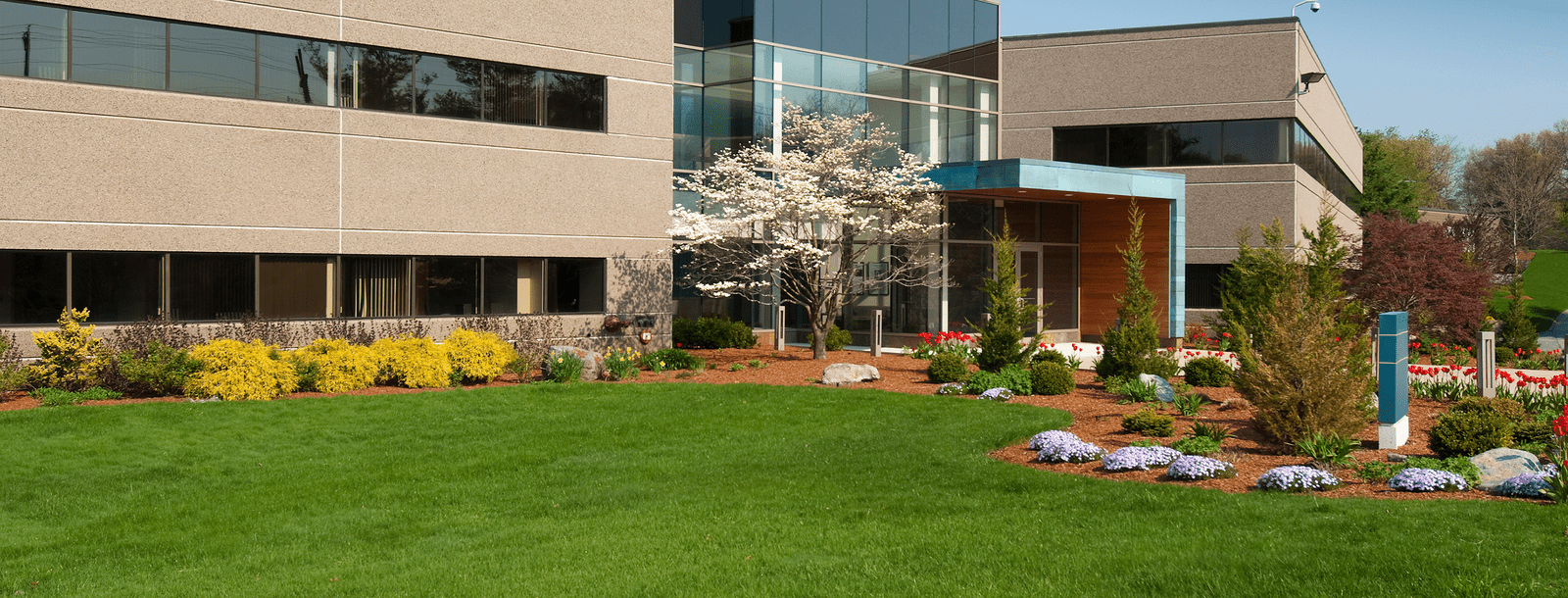 Modern office building with landscaped garden