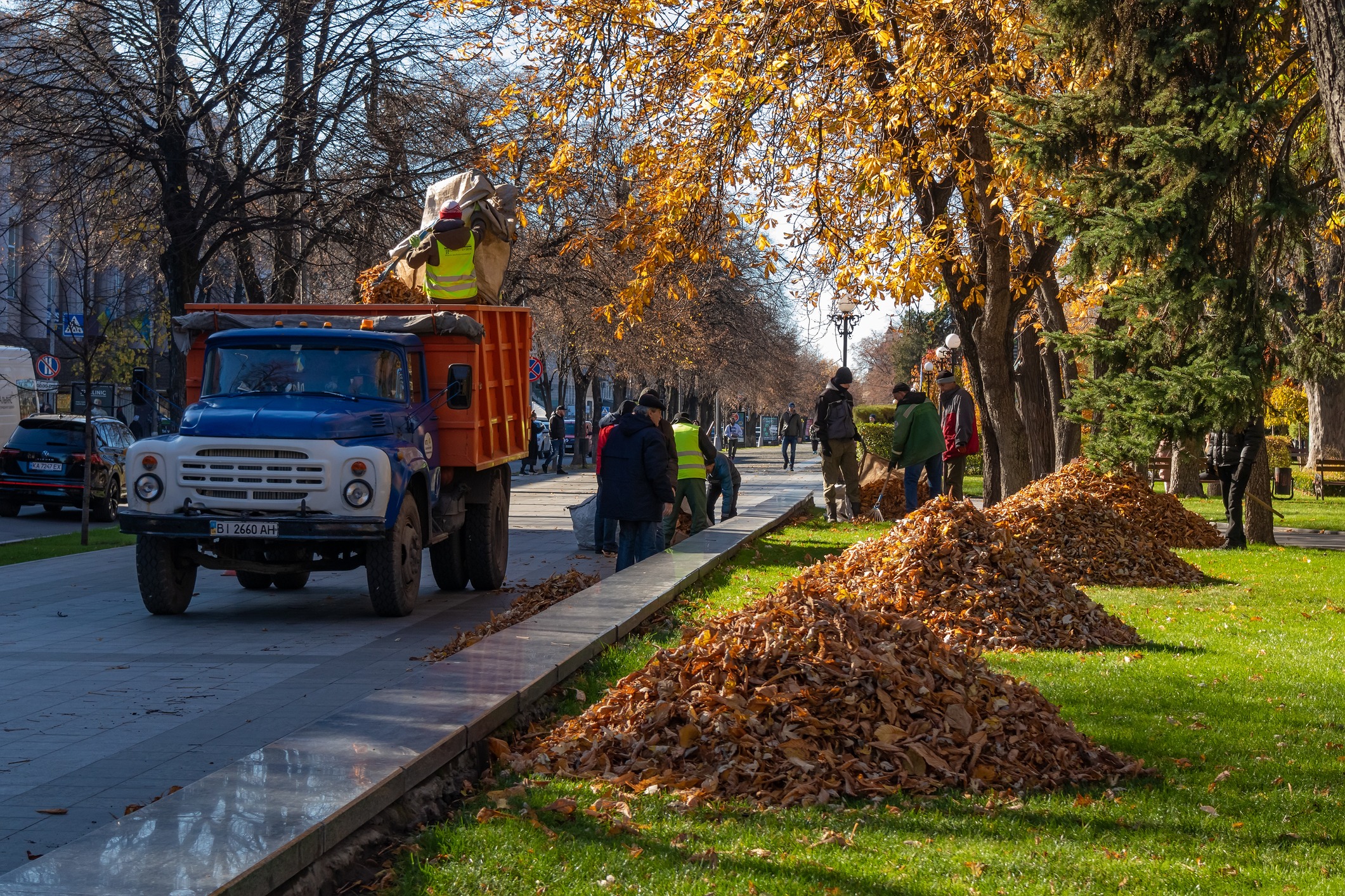 Workers loading fallen leaves into truck on street.