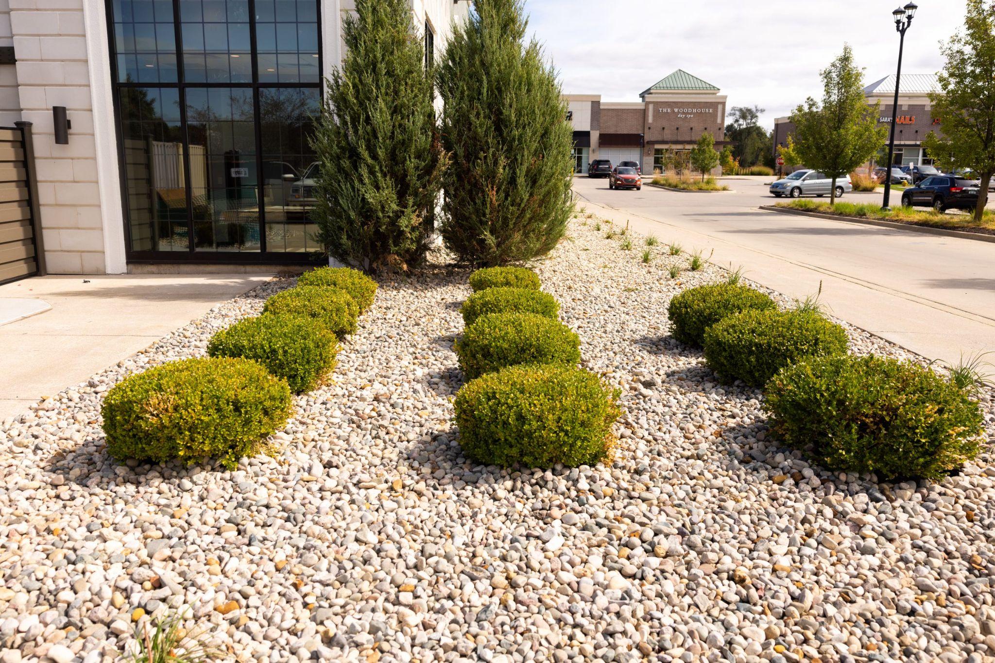 Commercial building landscaping with decorative rocks and trimmed shrubs