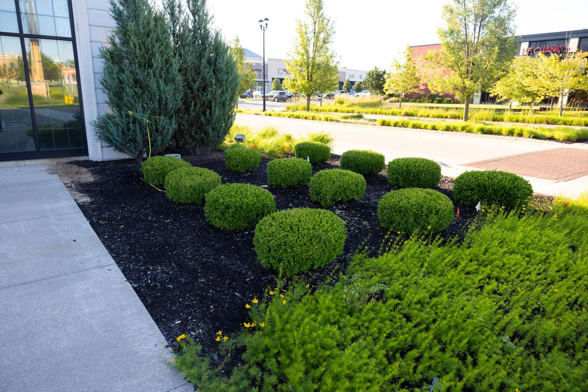 Commercial property with neatly trimmed shrubs and landscaped beds near sidewalk
