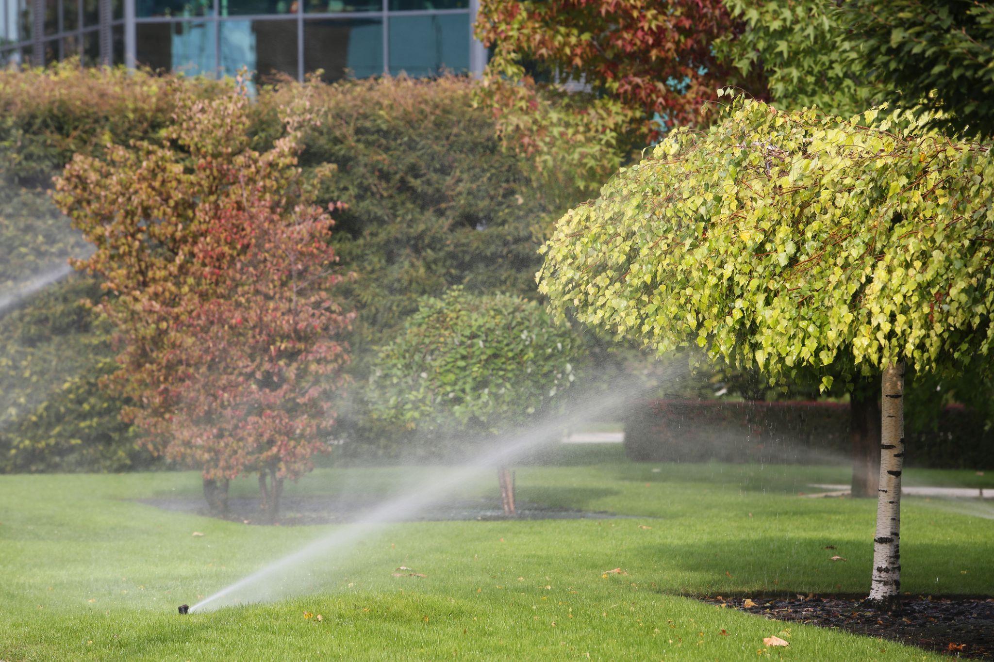 Sprinkler watering landscaped lawn with trees and shrubs in background